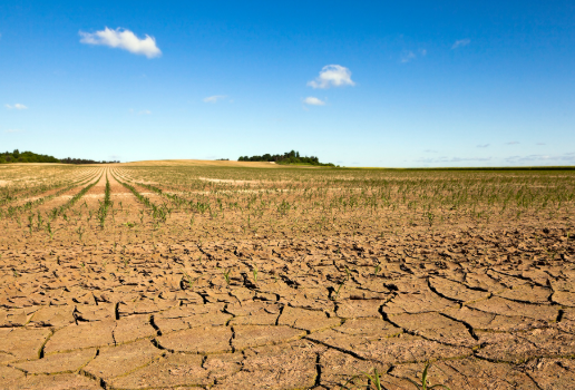 Mesures de restriction pour sécheresse