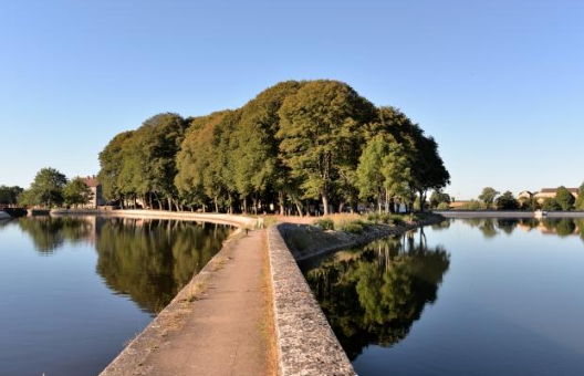 Etang de Baye: retour de la baignade!